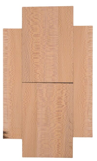 Sycamore (American) UkeSet6pcATC ASYCMX.G.004