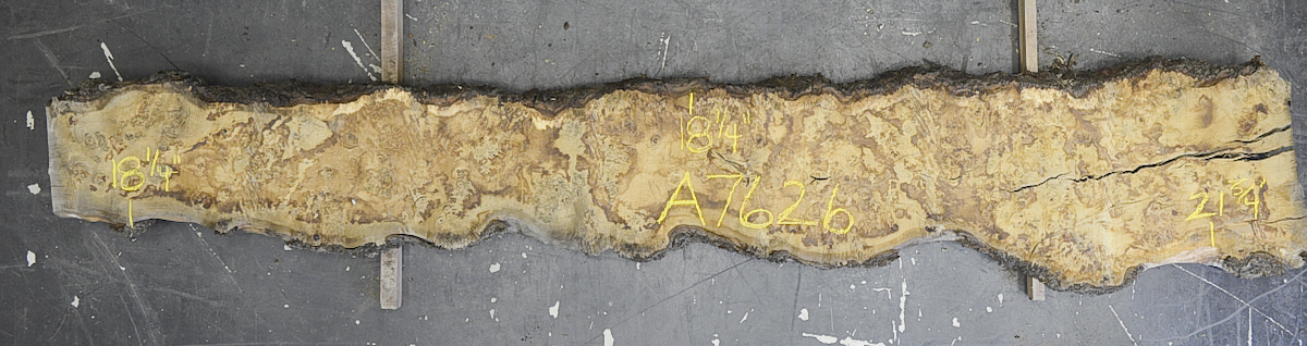 Oak (European) Board BA7626