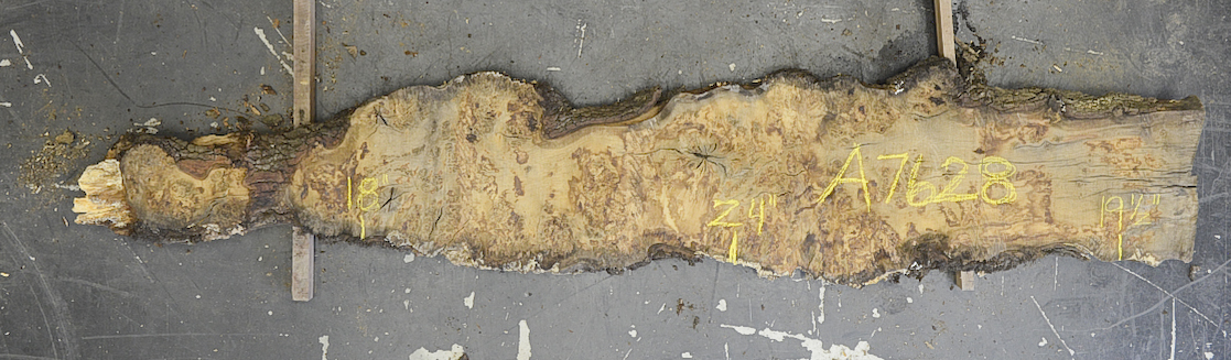 Oak (European) Board BA7628