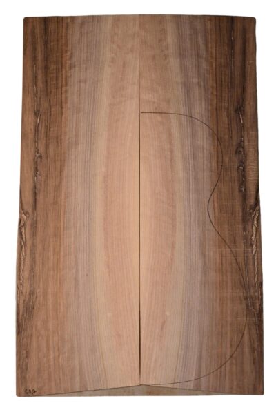 Walnut (English) GuitarBack2pcATC BB1180.G.003