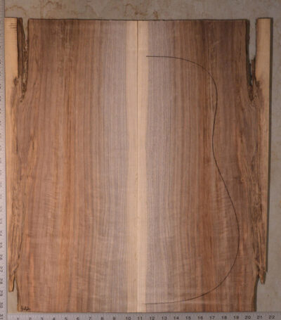 Walnut (English) GuitarBack2pcATC BB1181.G.001