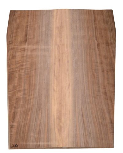 Walnut (English) UkeBack2pcATC BB1181.G.009