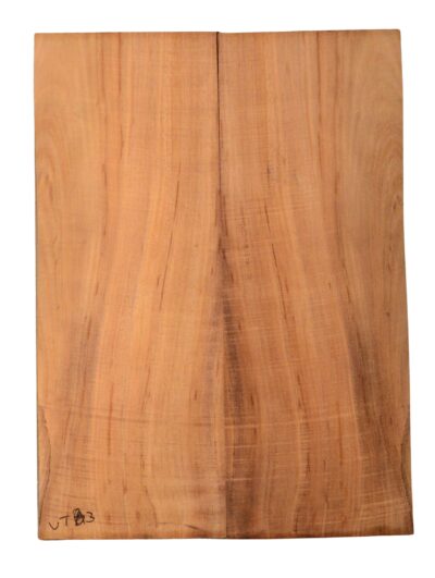 Koa UkeBack2pcATC BB3811.G.029