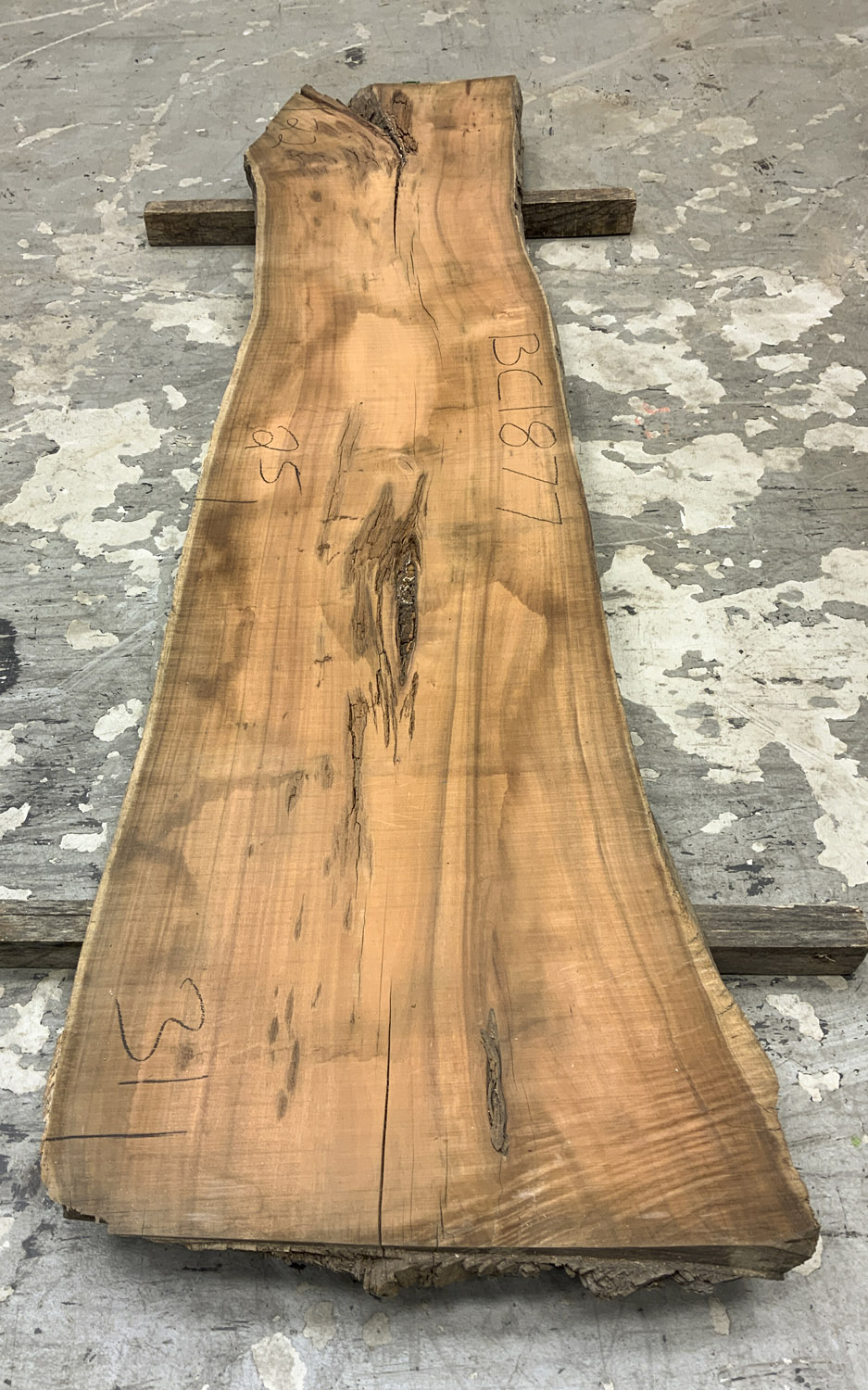 Koa Board BC1877