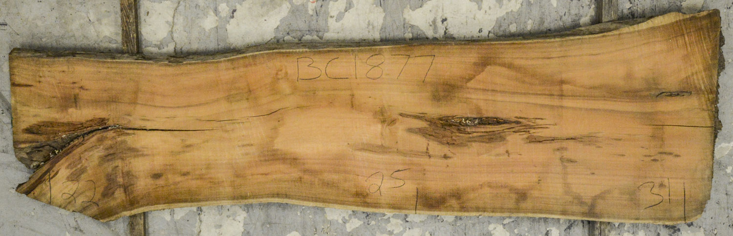 Koa Board BC1877