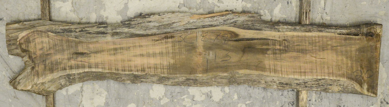 Koa Board BC1879