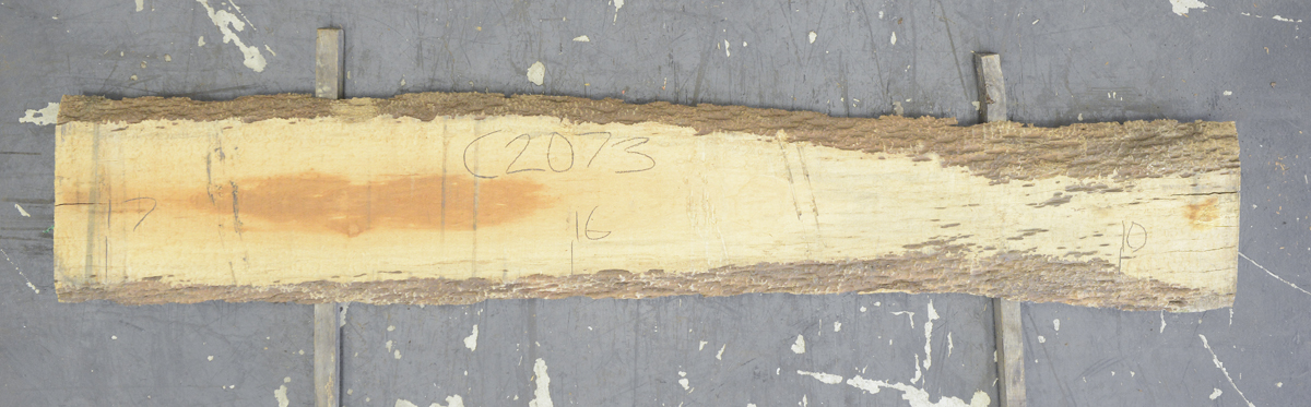 Bosse Board BC2073