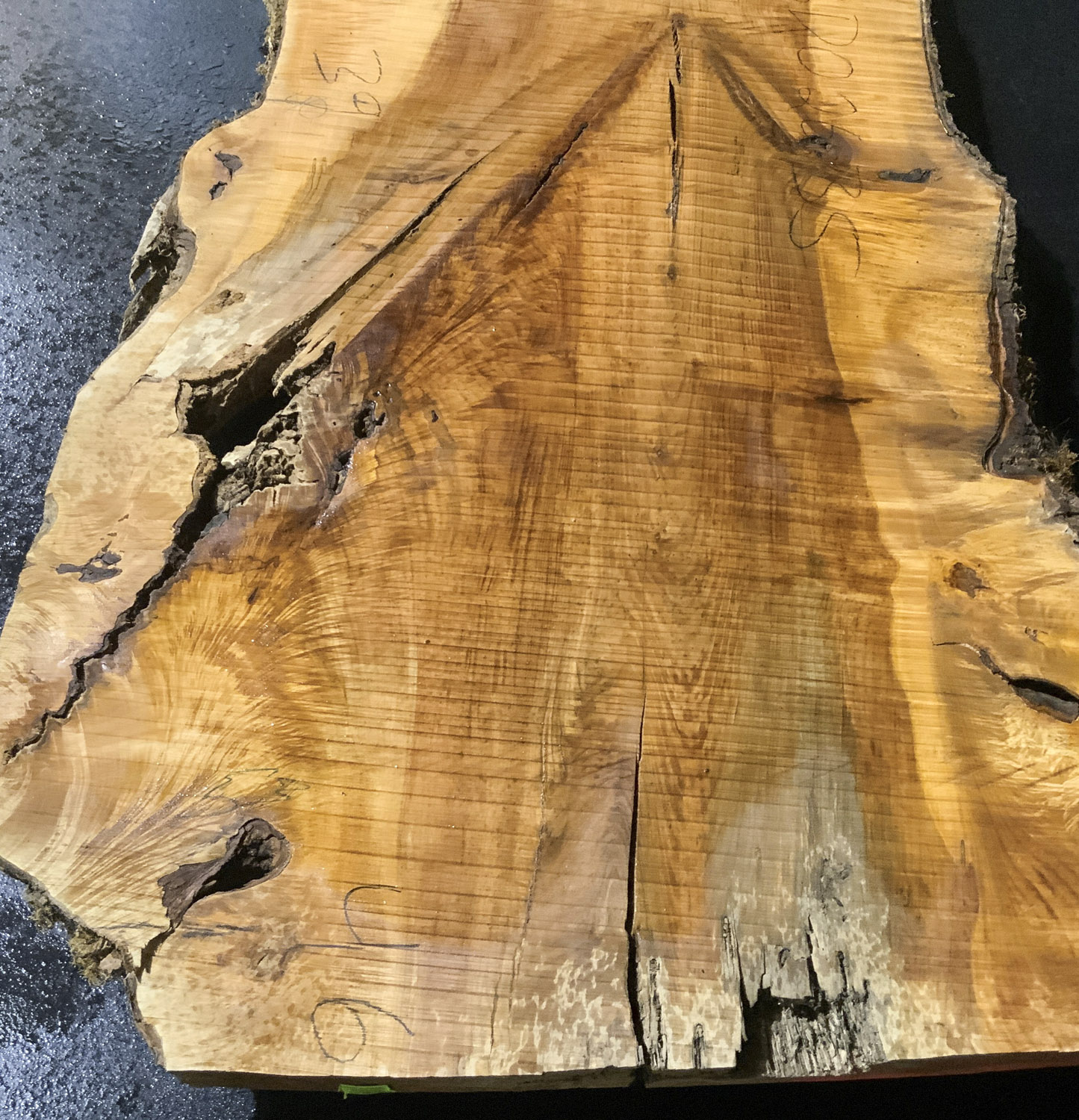 Maple (Big Leaf) Board BD02635 - Image 5