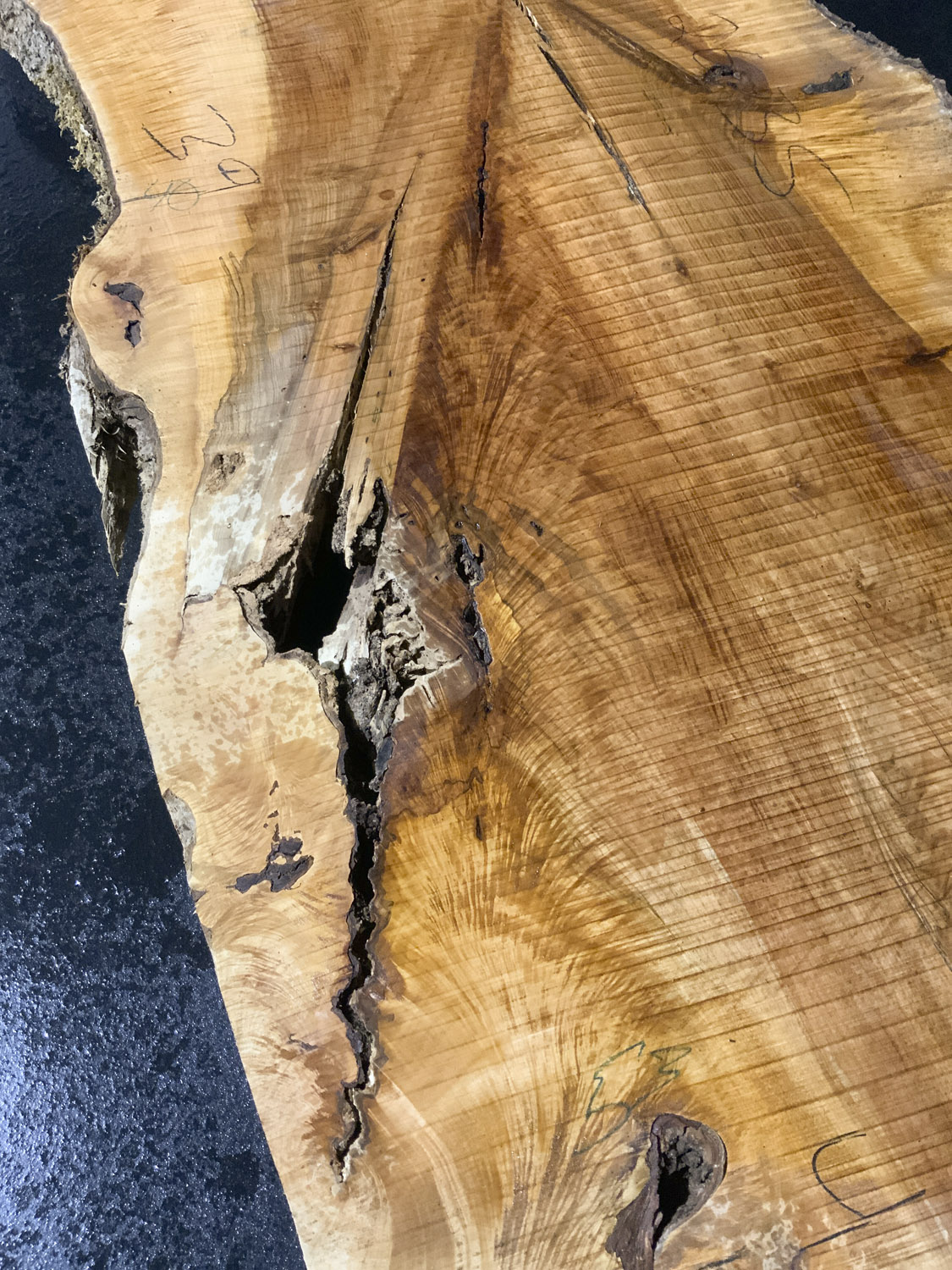 Maple (Big Leaf) Board BD02635 - Image 6