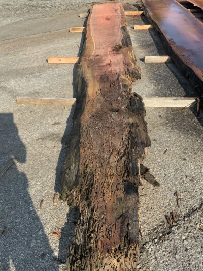 Redwood (Sinker) Board BD03292