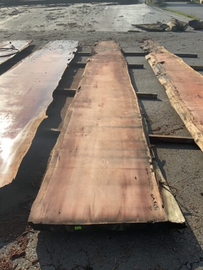 Redwood (Sinker) Board BD03293