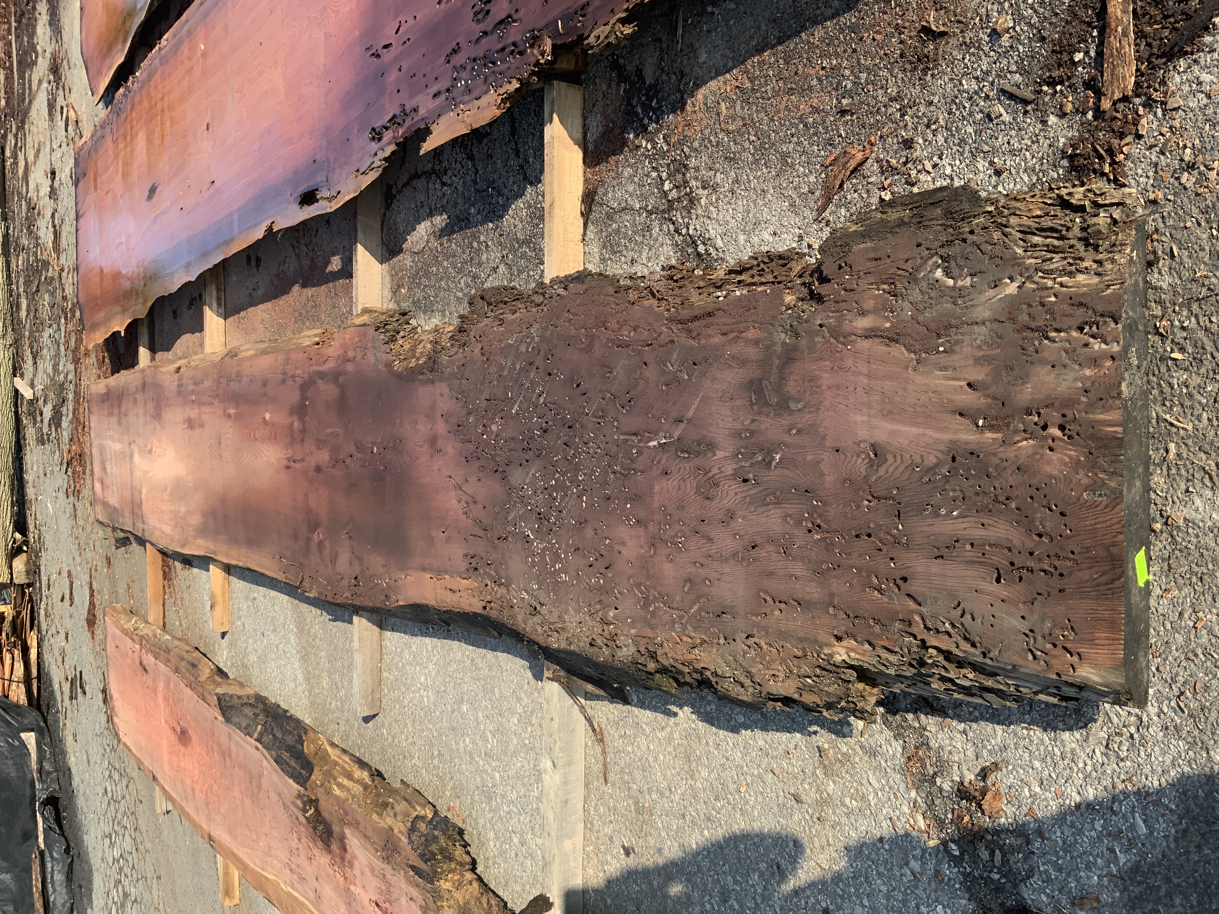 Redwood (Sinker) Board BD03293
