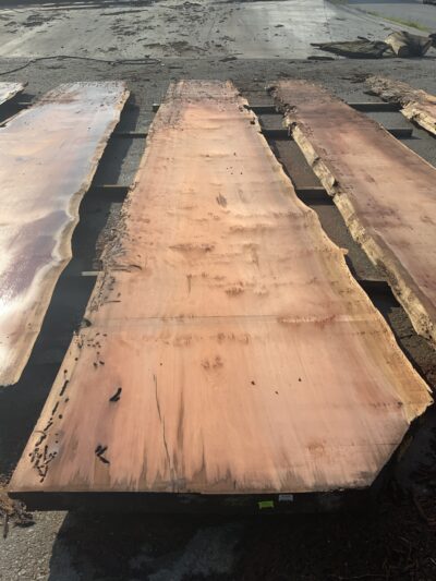 Redwood (Sinker) Board BD03294