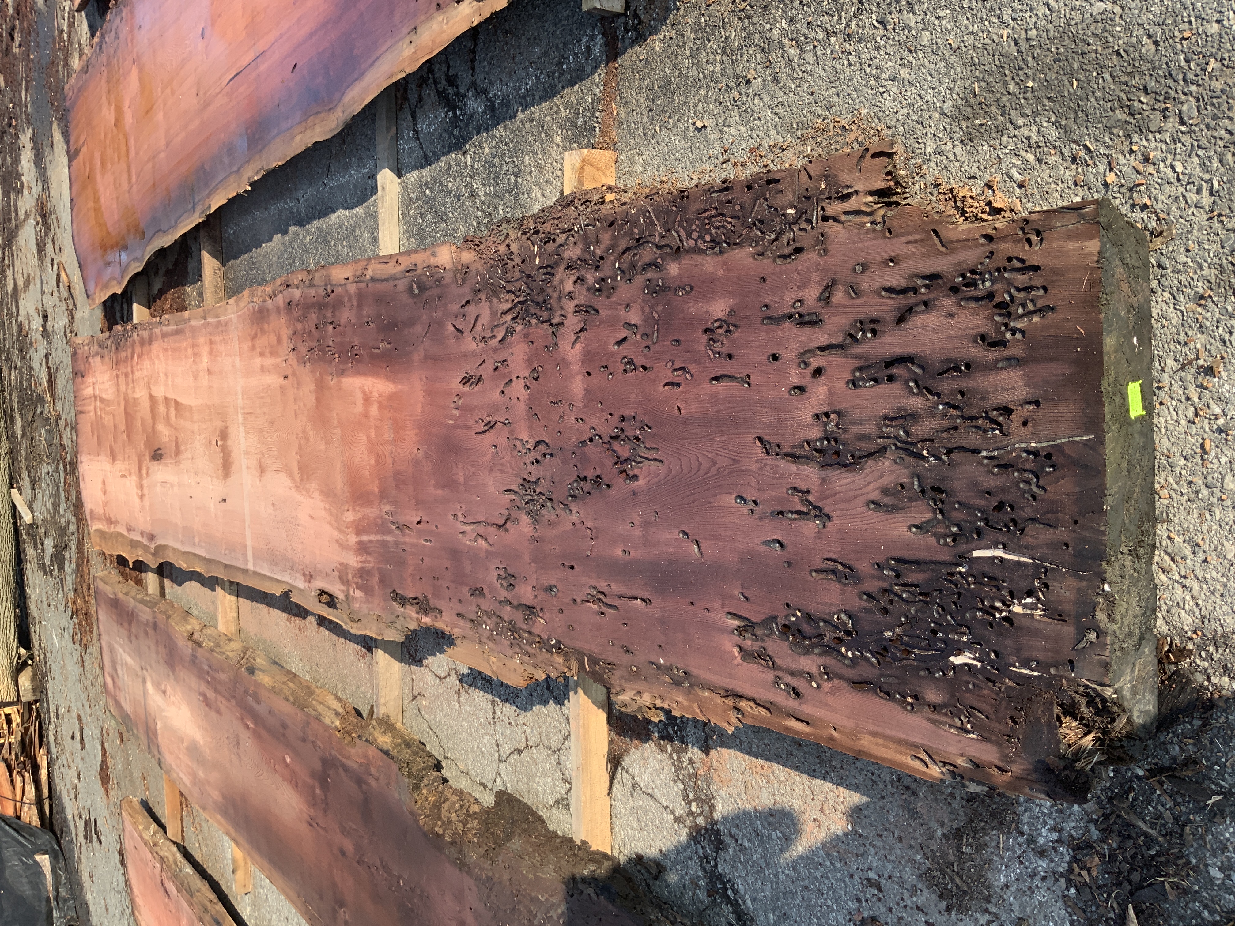Redwood (Sinker) Board BD03294