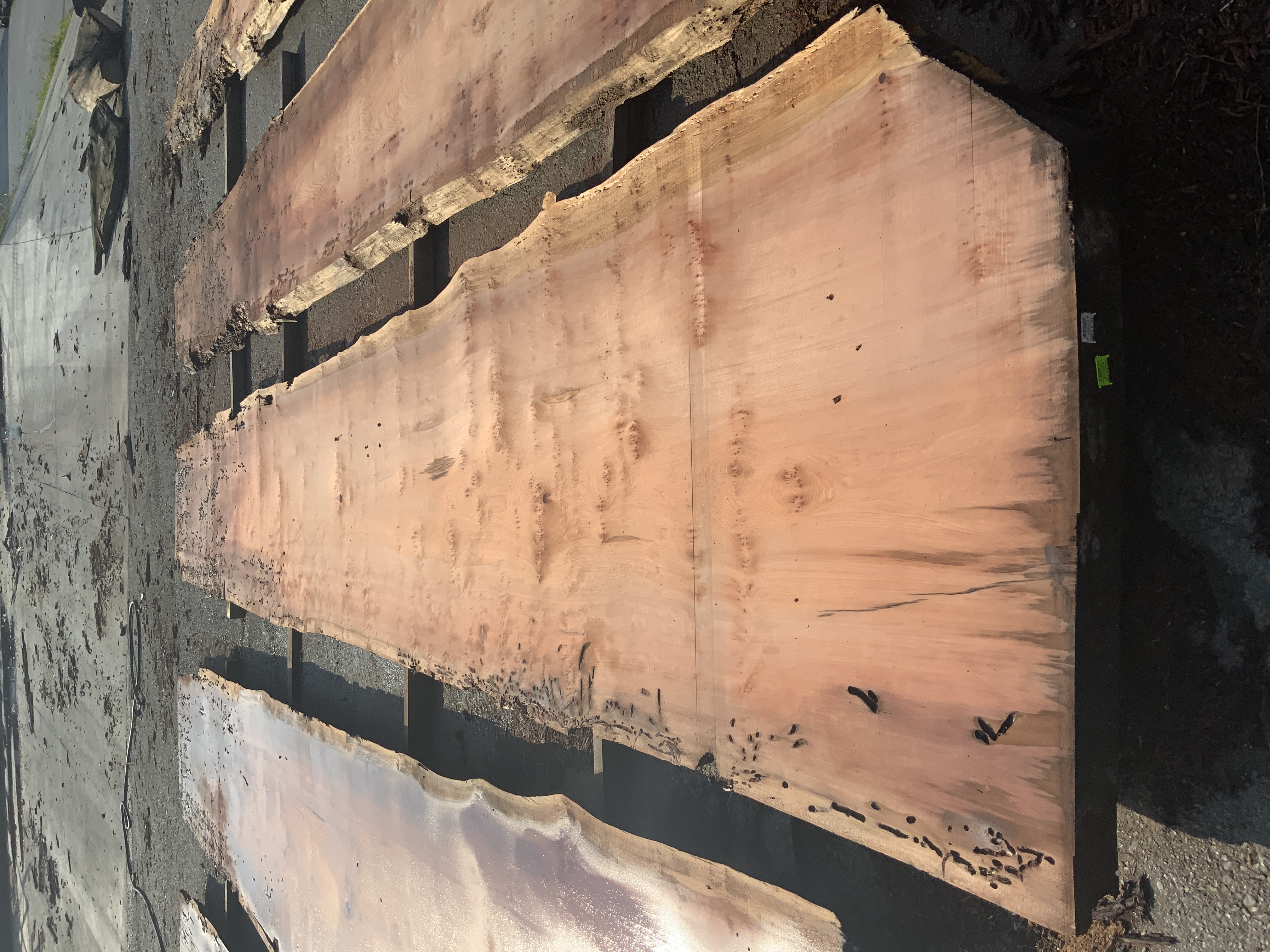 Redwood (Sinker) Board BD03294