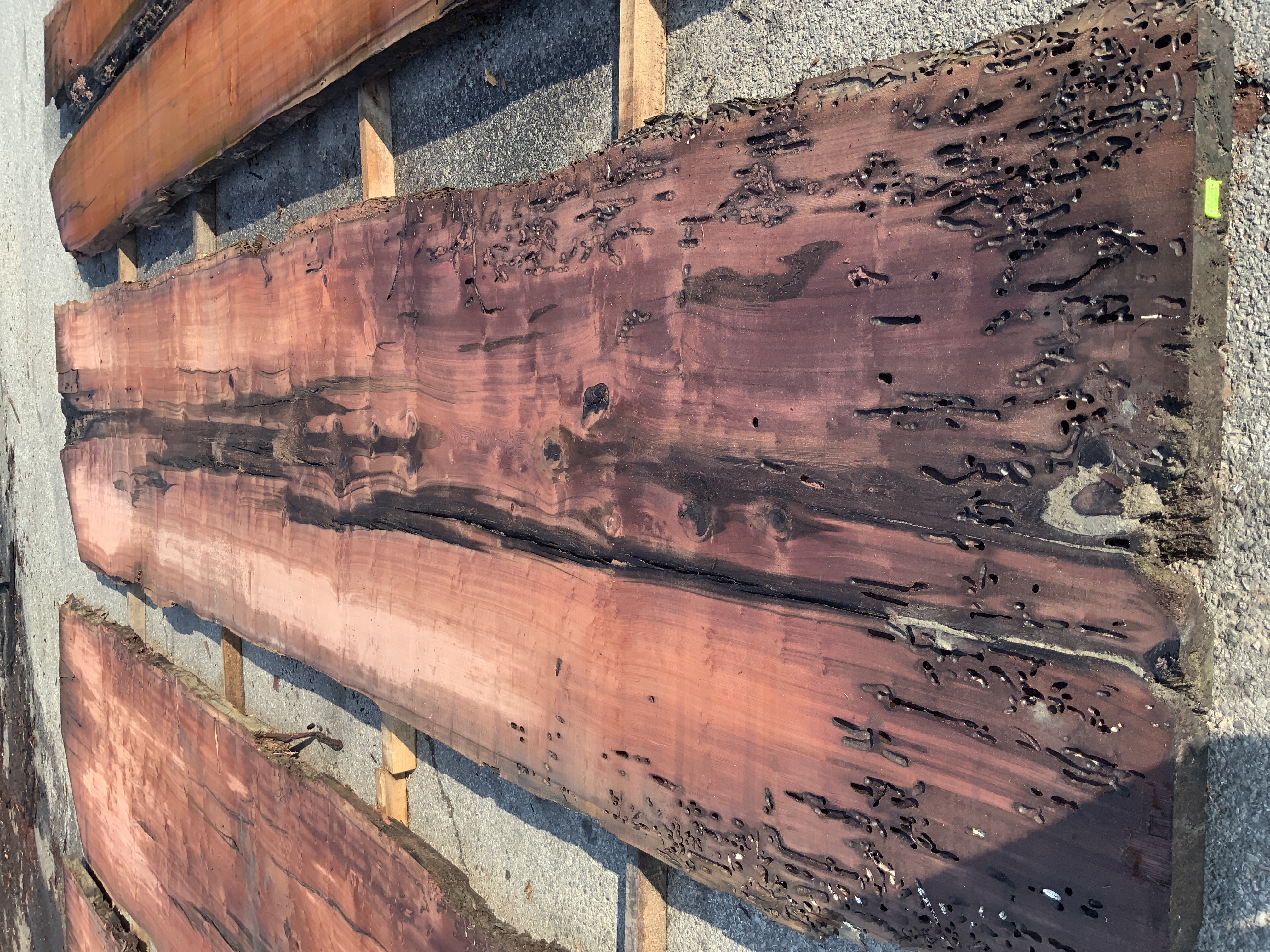 Redwood (Sinker) Board BD03298