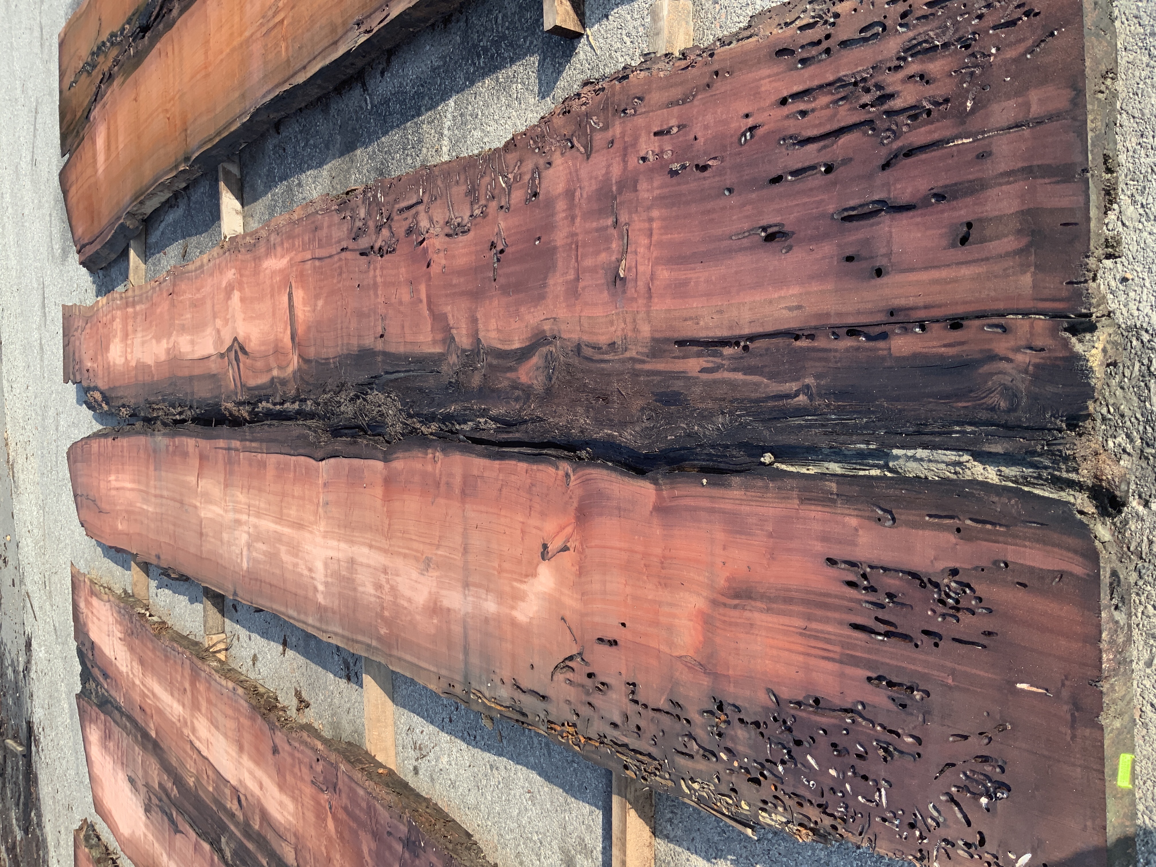 Redwood (Sinker) Board BD03299