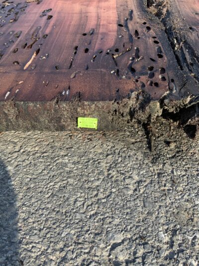 Redwood (Sinker) Board BD03300