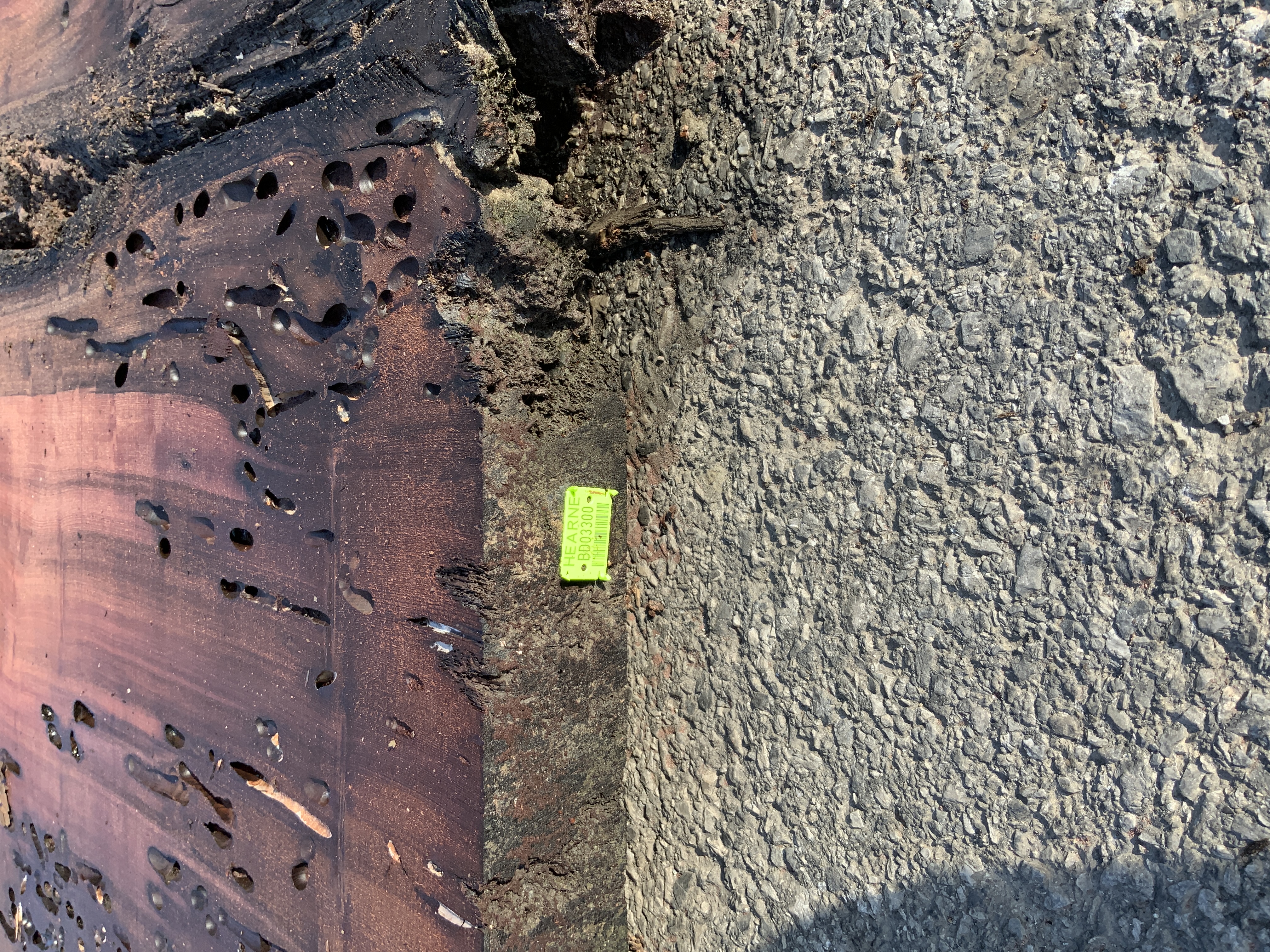 Redwood (Sinker) Board BD03300