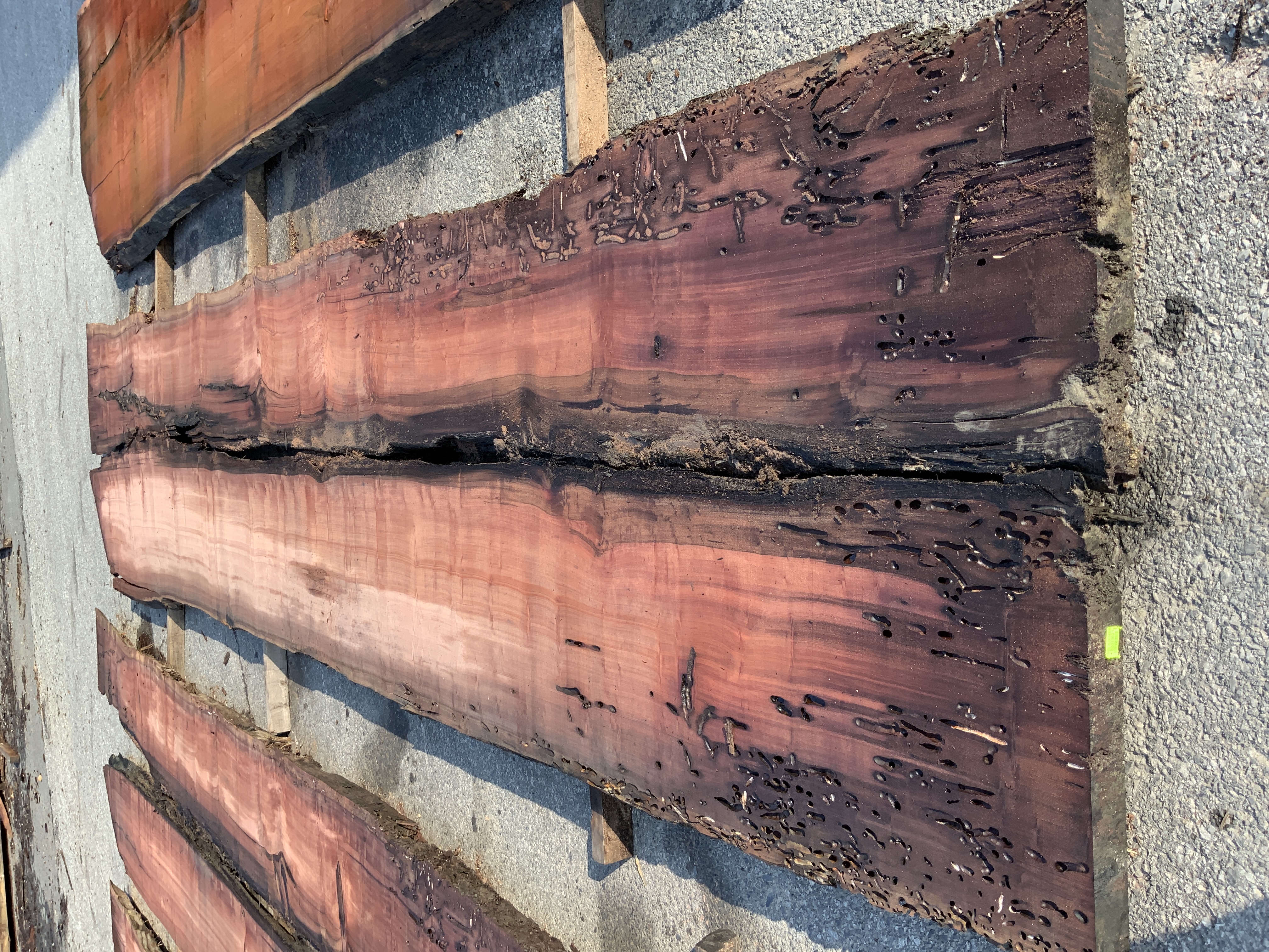 Redwood (Sinker) Board BD03300