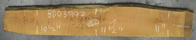 Pear (European) Board BD03997