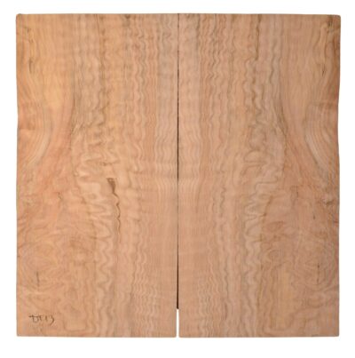 Maple (Big Leaf) GuitarSolidBodyTopATC BGLF1.G.006