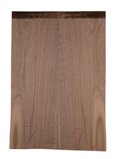 Walnut (European) GuitarBack2pcATC BLEURO1.G1.027