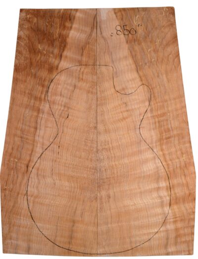 Maple (Big Leaf) GuitarSolidBodyTopATC BLMMX.G.055