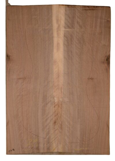 Walnut (English) GuitarSolidBodyTopATC CHAMPTR.G.002