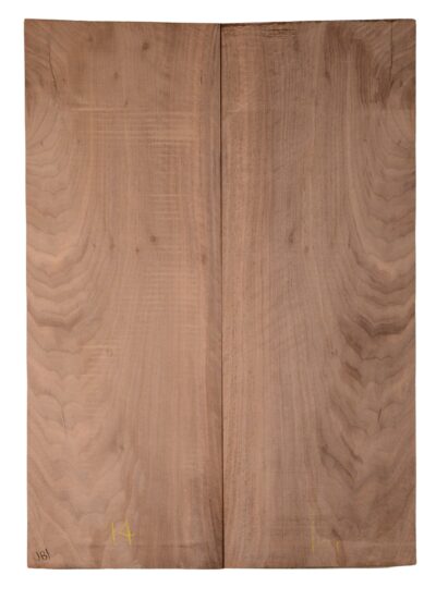 Walnut (English) GuitarBack2pcATC CHAMPTR.G.007