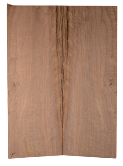 Walnut (English) GuitarBack2pcATC CHAMPTR.G.008