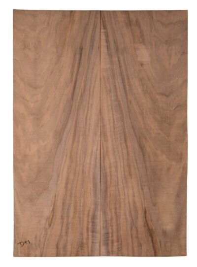 Walnut (English) GuitarBack2pcATC CHAMPTR.G.009