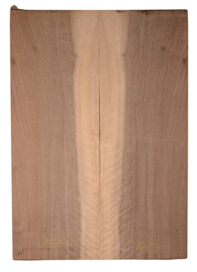 Walnut (English) GuitarBack2pcATC CHAMPTR.G.010