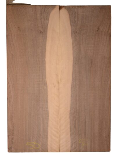 Walnut (English) GuitarBack2pcATC CHAMPTR.G.011