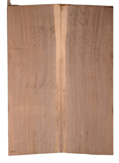 Walnut (English) GuitarBack2pcATC CHAMPTR.G.012