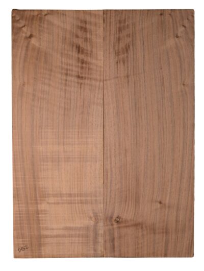 Walnut (English) GuitarBack2pcATC CHAMPTR.G.013