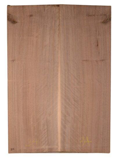 Walnut (English) GuitarBack2pcATC CHAMPTR.G.015