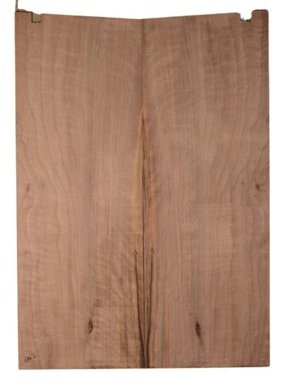 Walnut (English) GuitarBack2pcATC CHAMPTR.G.019
