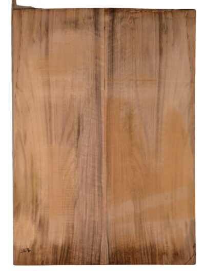 Walnut (English) GuitarBack2pcATC CHAMPTR.G.023