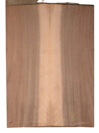 Walnut (English) GuitarBack2pcATC CHAMPTR.G.026