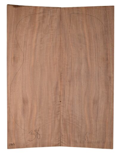 Walnut (English) GuitarBack2pcATC CHAMPTR.G.030
