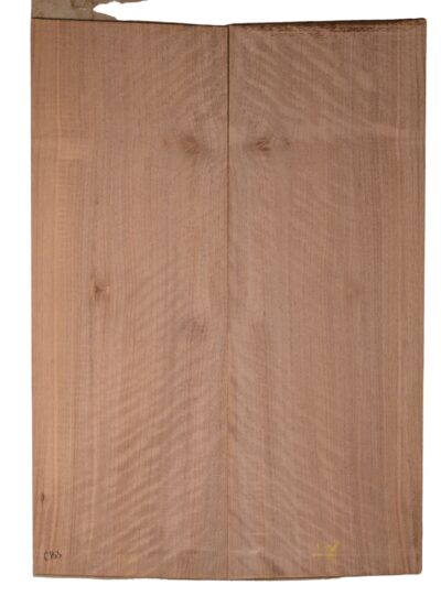 Walnut (English) GuitarBack2pcATC CHAMPTR.G.031