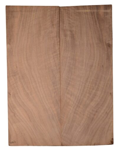 Walnut (English) GuitarBack2pcATC CHAMPTR.G.032