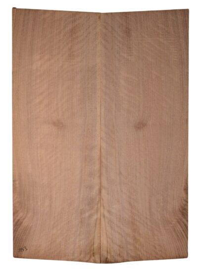 Walnut (English) GuitarBack2pcATC CHAMPTR.G.036