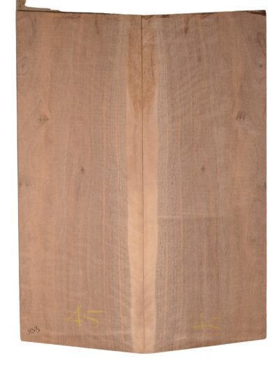 Walnut (English) GuitarBack2pcATC CHAMPTR.G.037