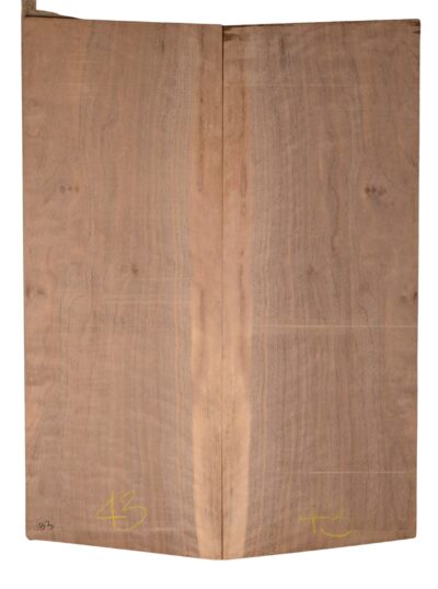 Walnut (English) GuitarBack2pcATC CHAMPTR.G.038