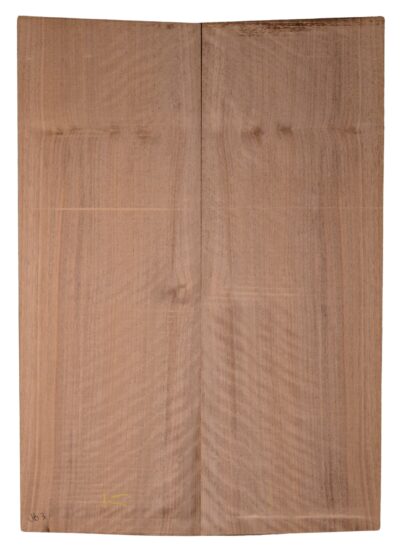 Walnut (English) GuitarBack2pcATC CHAMPTR.G.040