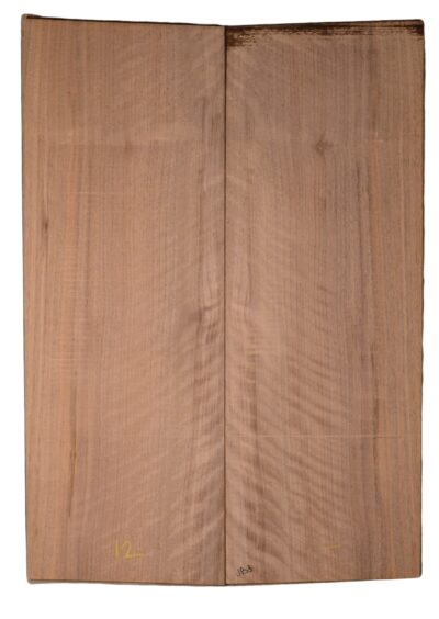 Walnut (English) GuitarBack2pcATC CHAMPTR.G.041