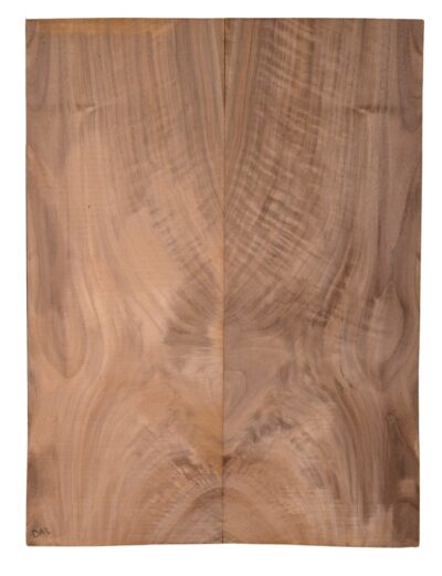 Walnut (English) GuitarBack2pcATC CHAMPTR.G.047