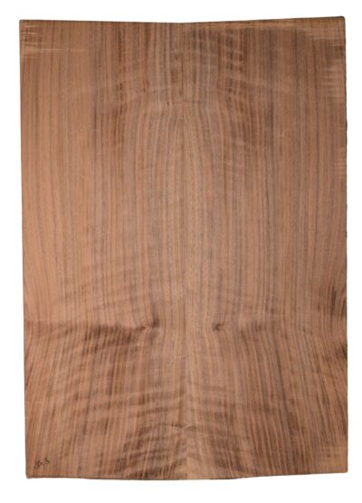 Walnut (English) GuitarBack2pcATC CHAMPTR.G.048